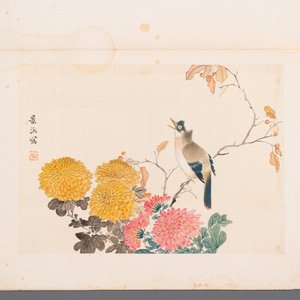 Chinese school: Seven works with birds and flowers, ink and colour on silk, signed Jinghan 景涵, 19/20th C. — 照片 11