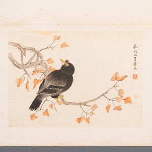 Chinese school: Seven works with birds and flowers, ink and colour on silk, signed Jinghan 景涵, 19/20th C. — 照片 9
