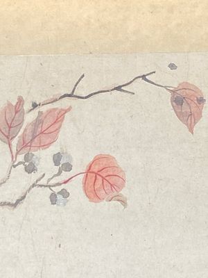 Chinese school: Six works with birds, flowers and fruits, ink and colour on paper, 19/20th C. — 照片 25