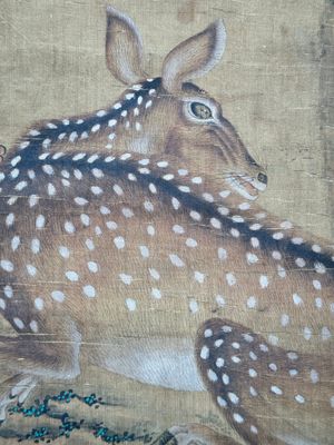 Chinese school: 'Two deer under a pine tree', ink and colour on silk, Qing or later — 照片 10