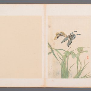 Chinese school: Two parts of an album with four drawings and a calligraphy, Lisheng 笠生 seal mark, 19/20th C. — 照片 2