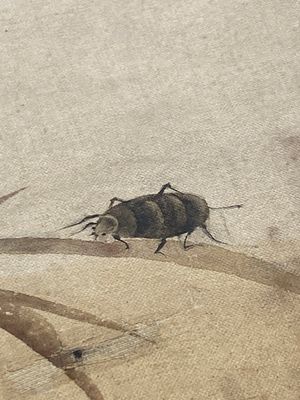 Chinese school: Zeven werken met insecten en pioenrozen, inkt en kleur op zijde, 19/20e eeuw — foto 4