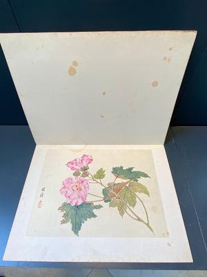 Chinese school: Zeven werken met vogels en bloemen, inkt en kleur op zijde, gesigneerd Jinghan 景涵, 19/20e eeuw — foto 28