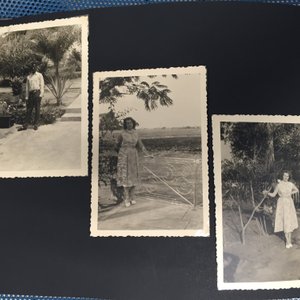 Collection africaine de figures, bracelets, armes et album de photos, 19e-20e — photo 29