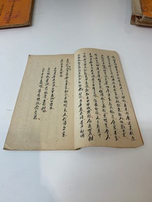 Collection of ten Chinese books about Taoism and an album after Giuseppe Castiglione (郎世寧, 1688-1766): 'One Hundred Horses,' 20th C. — photo 22