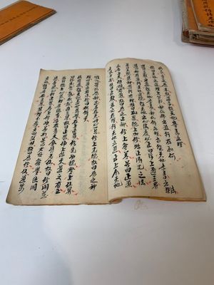 Collection of ten Chinese books about Taoism and an album after Giuseppe Castiglione (郎世寧, 1688-1766): 'One Hundred Horses,' 20th C. — photo 29