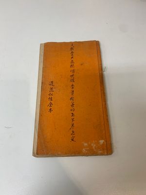 Collection of ten Chinese books about Taoism and an album after Giuseppe Castiglione (郎世寧, 1688-1766): 'One Hundred Horses,' 20th C. — photo 30