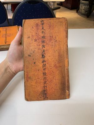 Collection of ten Chinese books about Taoism and an album after Giuseppe Castiglione (郎世寧, 1688-1766): 'One Hundred Horses,' 20th C. — photo 3