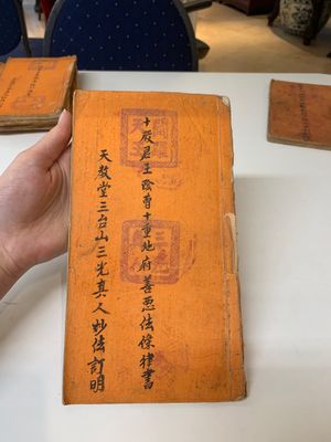 Collection of ten Chinese books about Taoism and an album after Giuseppe Castiglione (郎世寧, 1688-1766): 'One Hundred Horses,' 20th C. — photo 6