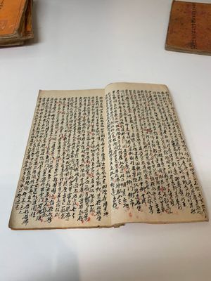 Collection of ten Chinese books about Taoism and an album after Giuseppe Castiglione (郎世寧, 1688-1766): 'One Hundred Horses,' 20th C. — photo 7