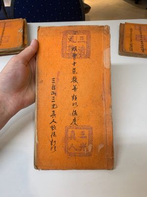 Collection of ten Chinese books about Taoism and an album after Giuseppe Castiglione (郎世寧, 1688-1766): 'One Hundred Horses,' 20th C. — photo 9