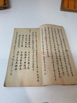 Collection of ten Chinese books about Taoism and an album after Giuseppe Castiglione (郎世寧, 1688-1766): 'One Hundred Horses,' 20th C. — photo 10