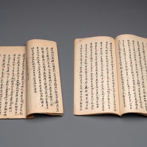 Collection of ten Chinese books about Taoism and an album after Giuseppe Castiglione (郎世寧, 1688-1766): 'One Hundred Horses,' 20th C. — photo 12