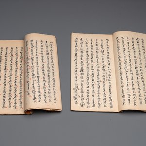 Collection of ten Chinese books about Taoism and an album after Giuseppe Castiglione (郎世寧, 1688-1766): 'One Hundred Horses,' 20th C. — photo 13