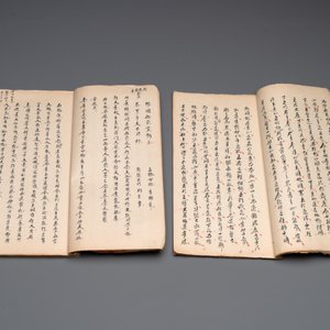 Collection of ten Chinese books about Taoism and an album after Giuseppe Castiglione (郎世寧, 1688-1766): 'One Hundred Horses,' 20th C. — photo 16
