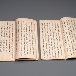 Collection of ten Chinese books about Taoism and an album after Giuseppe Castiglione (郎世寧, 1688-1766): 'One Hundred Horses,' 20th C. — photo 17