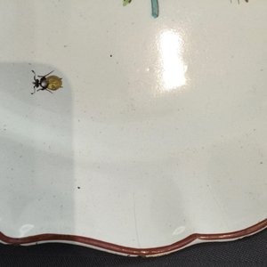 Deux assiettes en faïence polychrome de Tournai, 18ème — photo 5