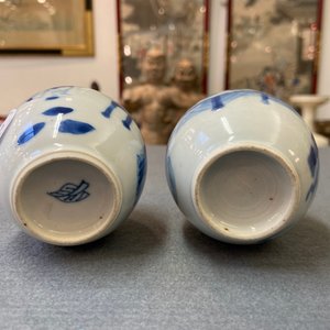 Deux boîtes à thé couvertes en porcelaine de Chine en bleu et blanc, Kangxi — photo 16