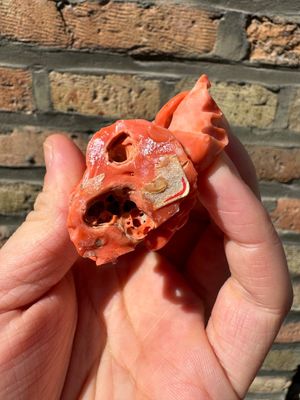 Deux figures de déesses en corail rouge, Chine, 19/20ème — photo 16