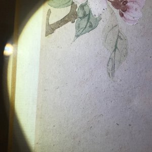 Deux peintures figurant un paysage et un oiseau sur branche, Chine, 18/19ème — photo 13