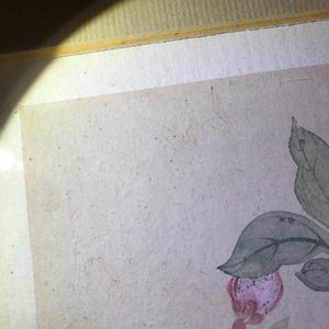 Deux peintures figurant un paysage et un oiseau sur branche, Chine, 18/19ème — photo 20