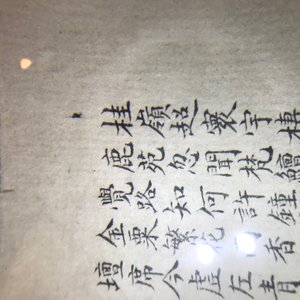 Deux peintures figurant un paysage et un oiseau sur branche, Chine, 18/19ème — photo 25