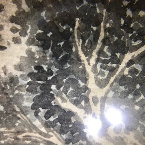 Deux peintures figurant un paysage et un oiseau sur branche, Chine, 18/19ème — photo 34