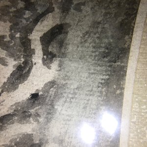 Deux peintures figurant un paysage et un oiseau sur branche, Chine, 18/19ème — photo 37