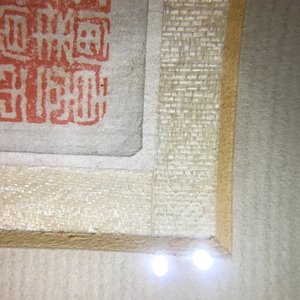 Deux peintures figurant un paysage et un oiseau sur branche, Chine, 18/19ème — photo 39