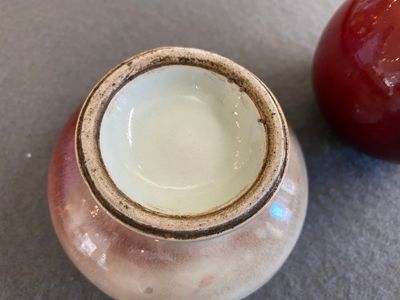 Deux pots à eau en porcelaine de Chine à émail flambé, 19ème — photo 3