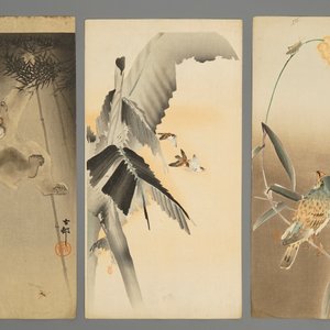 Dix aquarelles aux sujets d'animaux et fleurs, Japon, Meiji, 19/20ème — photo 5