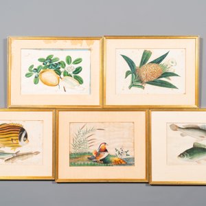 Dix peintures diverses sur papier de riz représentant la flore et la faune, Canton, Chine, 19/20ème — photo 2