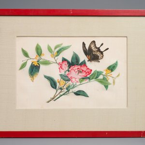 Dix peintures sur papier de riz à décor de papillons et oiseaux, Canton, Chine, 19ème — photo 9