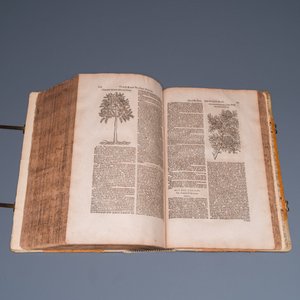 Dodoens, R.: 'Cruydt-boeck volghens sijne laetste verbeteringhe', 1644 — photo 13