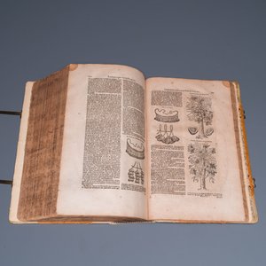 Dodoens, R.: 'Cruydt-boeck volghens sijne laetste verbeteringhe', 1644 — photo 14