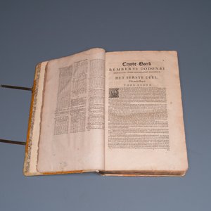 Dodoens, R.: 'Cruydt-boeck volghens sijne laetste verbeteringhe', 1644 — photo 6