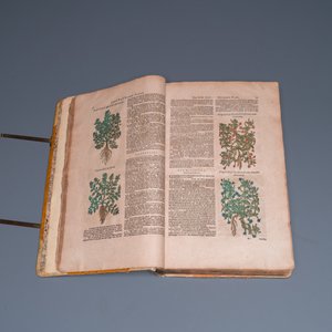 Dodoens, R.: 'Cruydt-boeck volghens sijne laetste verbeteringhe', 1644 — photo 7