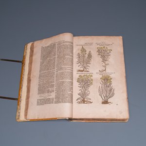 Dodoens, R.: 'Cruydt-boeck volghens sijne laetste verbeteringhe', 1644 — photo 8