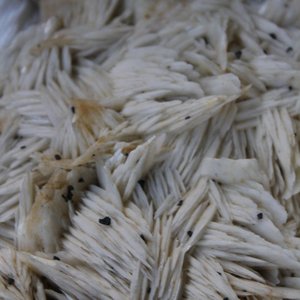 Doos met diverse mineralen en halfedelstenen — foto 1
