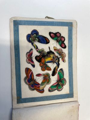 Drie albums en twee kaders met Chinese rijstpapier schilderingen van figuren, fauna en flora, Tak Shang Saihing St. Canton, 19/20e eeuw — foto 3