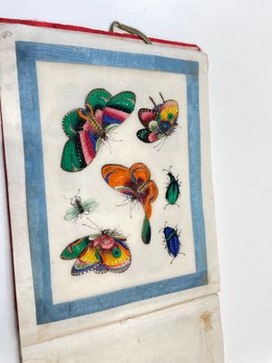 Drie albums en twee kaders met Chinese rijstpapier schilderingen van figuren, fauna en flora, Tak Shang Saihing St. Canton, 19/20e eeuw — foto 5