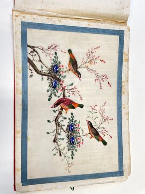 Drie albums en twee kaders met Chinese rijstpapier schilderingen van figuren, fauna en flora, Tak Shang Saihing St. Canton, 19/20e eeuw — foto 10