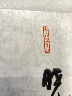 Drie albums: 'Jiang Hanting 江寒汀 (1904-1963), Lin Sanzhi 林散之 (1898-1989) en Qi Gong 启功 (1912-2005)', inkt en kleur op papier — foto 16
