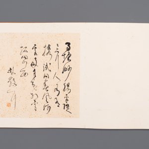 Drie albums: 'Jiang Hanting 江寒汀 (1904-1963), Lin Sanzhi 林散之 (1898-1989) en Qi Gong 启功 (1912-2005)', inkt en kleur op papier — foto 13
