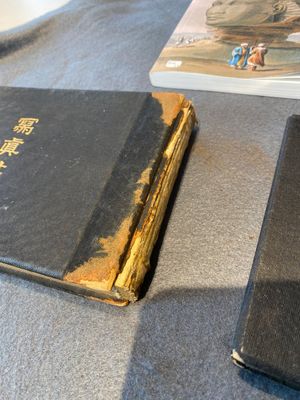 Drie albums met 66 foto's over de Xinhai Revolutie in Hankou, Wuchang en Hanyang in China, 1911 — foto 4