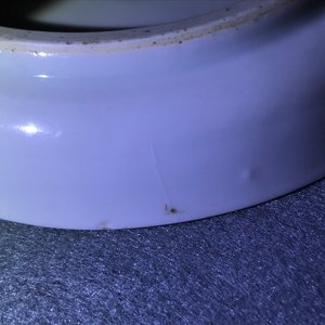 Drie Chinese blauw-witte 'Bleu de Hue' borden voor de Vietnamese markt, 19e eeuw — foto 16