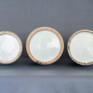 Drie Chinese blauw-witte en celadon vazen met Boeddhistische leeuwen, 19e eeuw — foto 22