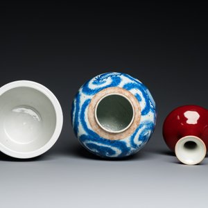 Drie Chinese blauw-witte vazen en een monochrome rode vaas, 19e eeuw — foto 11