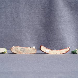 Drie Chinese famille rose waterdruppelaars en een penselenrust, 18/19e eeuw — foto 23