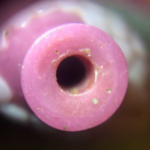 Drie Chinese glazen snuifflessen, één met Qianlong merk, 18/19e eeuw — foto 7